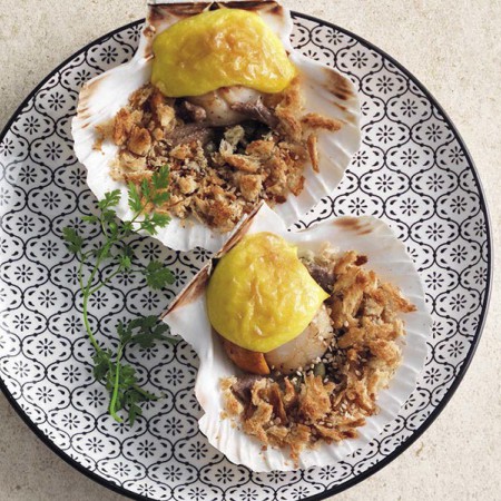 Scallops Au Gratin With Capers and Anchovies