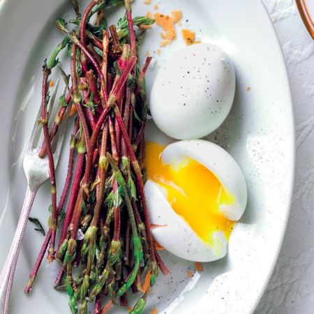 Soft-Boiled Egg, Lentil Wafers and Hop Sprouts