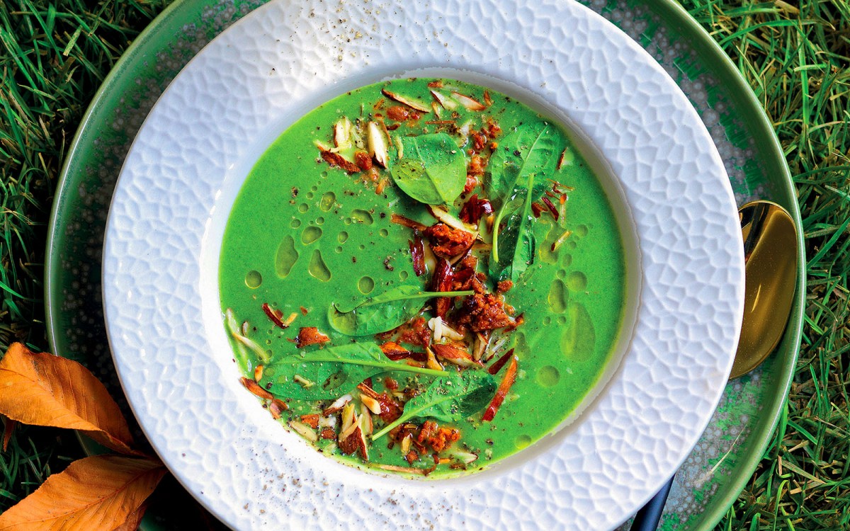 Spinach Velouté