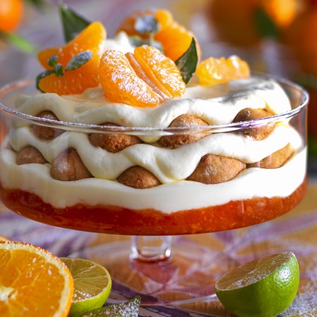 Citrus Fruit Tiramisu