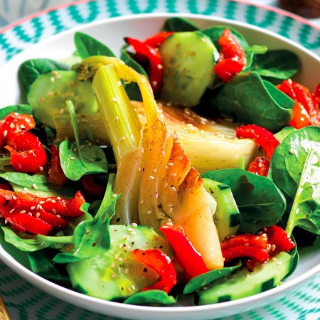 Cucumber, Fennel, and Pepper Salad